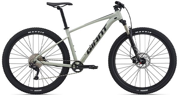 Xe đạp địa hình thể thao Giant Talon 29 1 2021